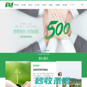 龙大食品集团有限公司