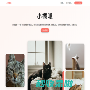 小橘呱