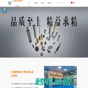 深圳市兴晨旭精密技术有限公司