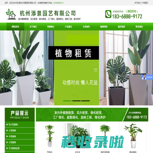 杭州植物出租,江干区植物租赁,拱墅区花卉租赁-杭州添景园艺有限公司