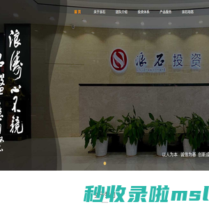 宁波市浪石投资控股有限公司