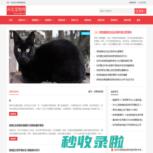 中宠网 - 邯郸宠物网