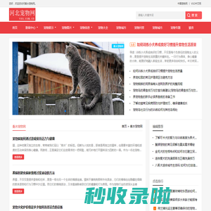 中宠网 - 衡水宠物网