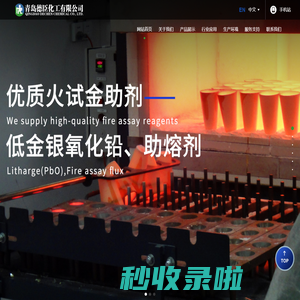 青岛德臣化工有限公司