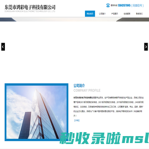 东莞市鸿彩电子科技有限公司