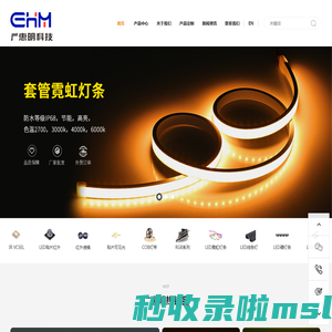 贴片灯带,霓虹灯条,灯带定制,2835灯带,cob灯带,rgb灯带套装,深圳灯带生产厂家,深圳市广惠明科技有限公司