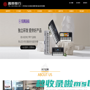 沈阳震东琴行