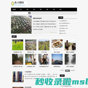 虎入羊群网