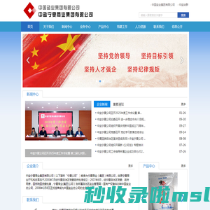 中盐宁夏商业集团有限公司