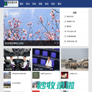 鼠目麞头网