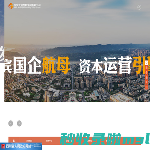 宜宾发展控股集团有限公司