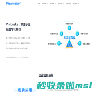 Visionsky-广东华际友天信息科技有限公司