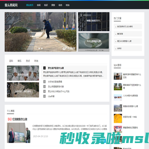 蚕头燕尾网