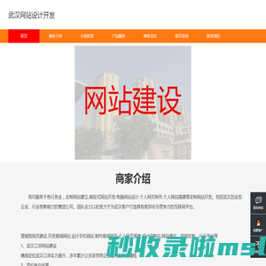 武汉网站设计开发
