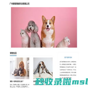 我爱猫狗