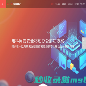 中电科网络安全科技股份有限公司