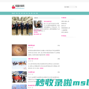 饭囊衣架网