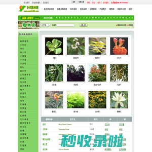 植物库_产地_特征_习性_用途-园林网