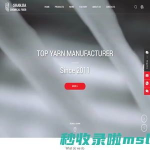 Nantong Shanjia Chemical Fiber Co., Ltd._Feather Yarn,Nylon Yarn