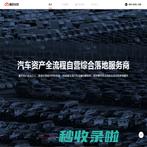 极致车网