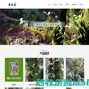 昆山雁枫森铁皮石斛_江苏铁皮石斛_陕西安康铁皮石斛_铁皮石斛苗种植