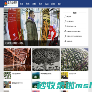 走马赴任网