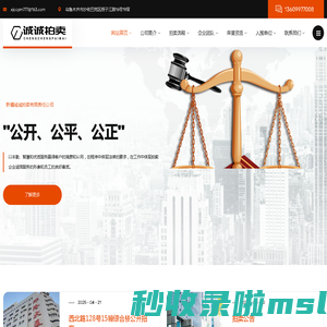 新疆诚诚拍卖有限责任公司