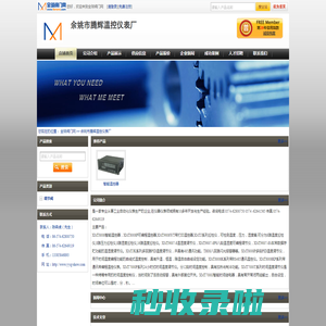 智能温控器-余姚市腾辉温控仪表厂