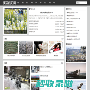 笑里藏刀网