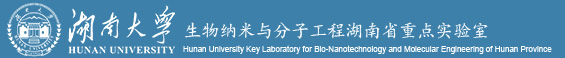 湖南大学生物纳米与分子工程湖南省重点实验室